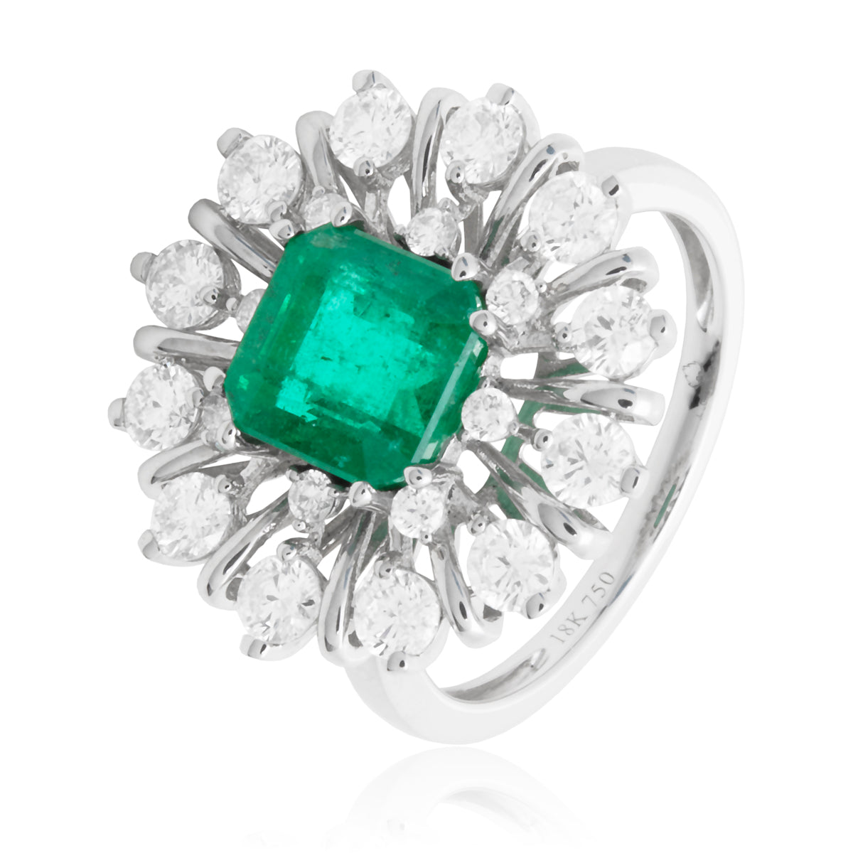 Nature Inpired Open Halo Ring