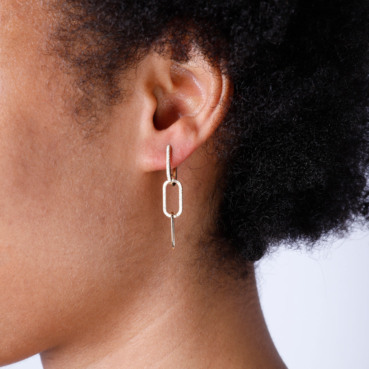 Wide Chain Earrings