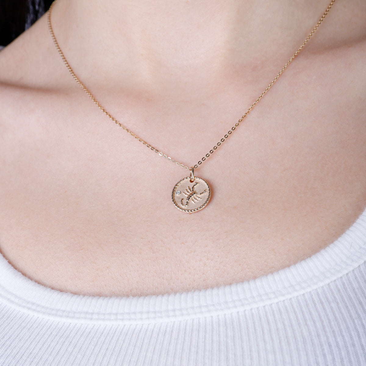 Zodiac MedaIlion Necklace