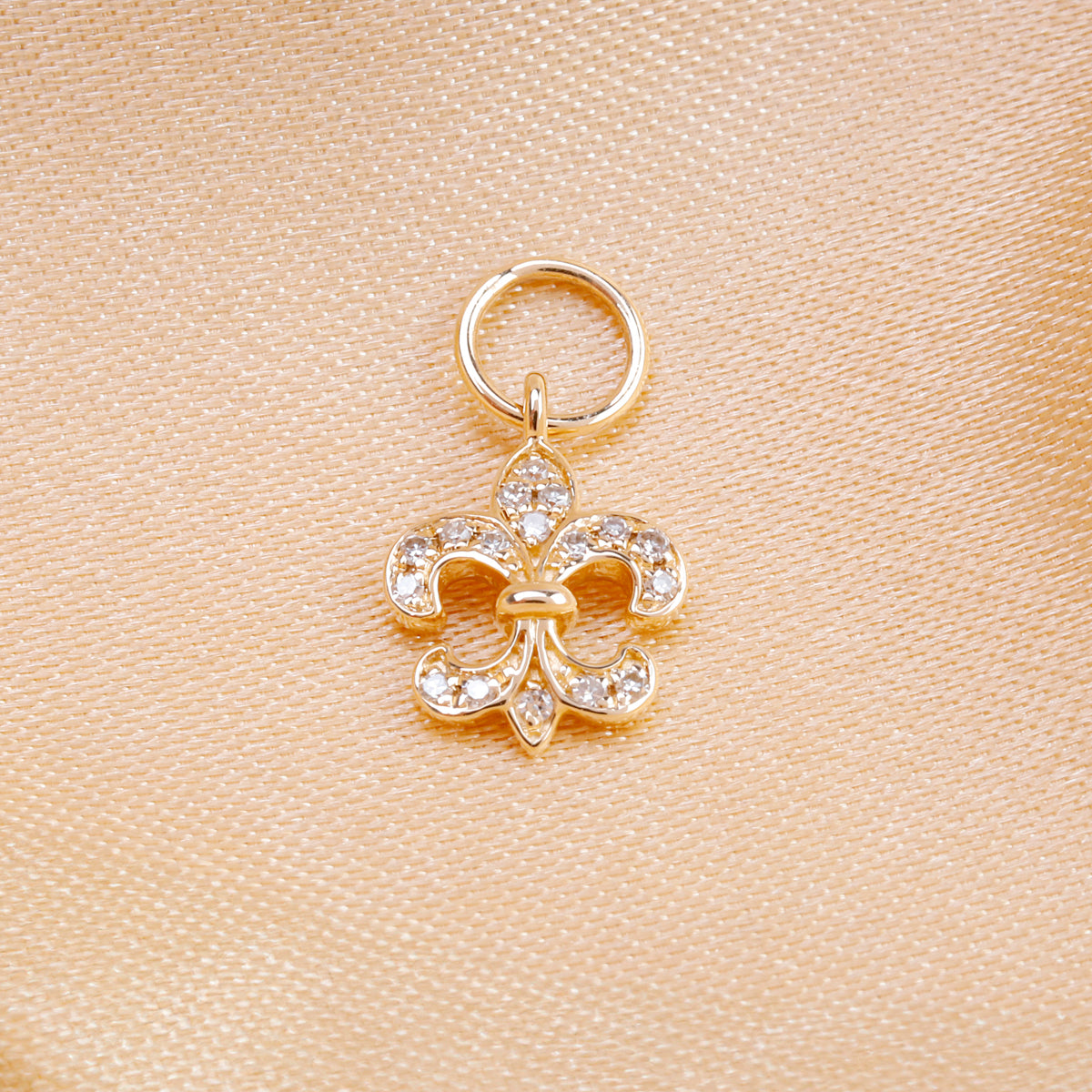 Fleur De Lis Charm